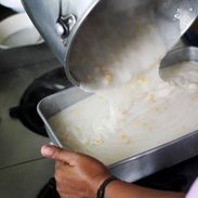 A picture of Sweet Corn Maja